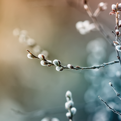 Sigicom öppettider Påsk