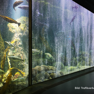 vibration monitoring under water